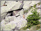 foto Da Forcella Montalon a Val Campelle